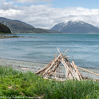 Buy canvas prints of Beach in Chilkat State Park, Haines, Alaska, USA from Kelgaya Point by Dave Collins