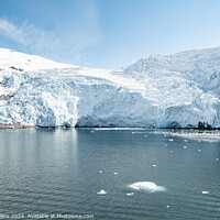 Buy canvas prints of Outdoor Beloit Tidewater Glacier in Blackstone Bay, Prince William Sound, Alaska, USA by Dave Collins
