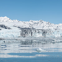 Buy canvas prints of  Harvard Tidewater Glacier at the end of College Fjord, Alaska, USA by Dave Collins
