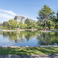 Buy canvas prints of The large Pond in Minora Park in Richmond, Vancouver, Canada by Dave Collins