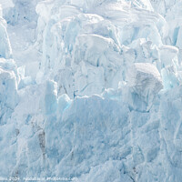 Buy canvas prints of The ice at the front of a glacier, Alaska, USA by Dave Collins