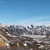 Buy canvas prints of Partly snow covered tundra during spring in Denali National Park, Alaska, USA by Dave Collins