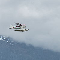 Buy canvas prints of DeHavilland DHC-2 Float Plane Flying low past cloud covered mountains Alaska, USA by Dave Collins