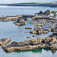 Buy canvas prints of St Abbs, Scottish Borders, Scotland by Dave Collins