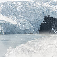 Buy canvas prints of Beloit Tidewater Glacier in Blackstone Bay, Prince William Sound, Alaska, USA by Dave Collins