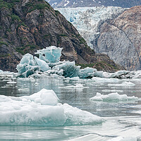 Buy canvas prints of Gowlers (small icebergs) floating in the sea with North Sawyer Glacier in the distance, Tracy Arm Inlet, Alaska, USA by Dave Collins