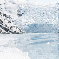 Buy canvas prints of Beloit Tidewater Glacier in Blackstone Bay, Prince William Sound, Alaska, USA by Dave Collins