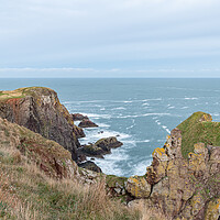 Buy canvas prints of Rocky Shoreline, St Abbs Head, Scottish Borders, Scotland by Dave Collins