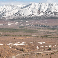 Buy canvas prints of Panorama of Denali National Park from the Savage River Alpine Trail, Alaska, USA by Dave Collins
