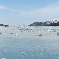 Buy canvas prints of Growlers (small Icebergs) floating on the sea in College Fjord, Alaska, USA by Dave Collins