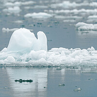 Buy canvas prints of Close up of a growler - small iceberg in Alaska, USA by Dave Collins