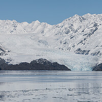 Buy canvas prints of Yale Tidewater Glacier at the end of College Fjord, Alaska, USA by Dave Collins