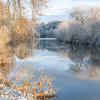 Buy canvas prints of Reflections of snow covered trees in the River Teviot, Scottish Borders, United Kingdom by Dave Collins