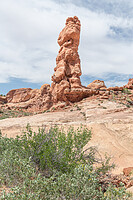 Click to show how this picture will look as a piece of wall art