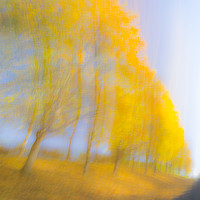 Buy canvas prints of Autum Colours by Dave Collins