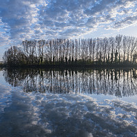 Buy canvas prints of Reflections, Ellerton Park, Yorkshire by Dave Collins