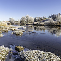 Buy canvas prints of Teviot River on a Frosty Morning by Dave Collins