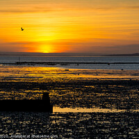 Buy canvas prints of Sunset at Whitstable Beach, Kent, England by Dave Collins