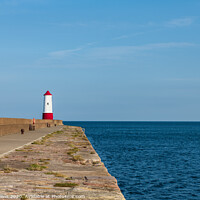 Buy canvas prints of Harbour Entrance Light Tower, Berwick-Upon-Tweed  by Dave Collins