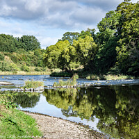 Buy canvas prints of Teviot River, Scottish Borders, United Kingdom by Dave Collins