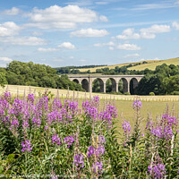 Buy canvas prints of Roxburgh Railway Viaduct, Scotland by Dave Collins