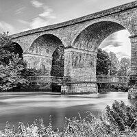 Buy canvas prints of Roxburgh Viaduct over the Teviot River - Monochrom by Dave Collins