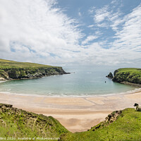 Buy canvas prints of A Sheep on the cliffs at Malin Beg Beach by Dave Collins