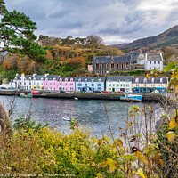 Buy canvas prints of Harbour and Harbour front buildings, Portree, Isle by Dave Collins