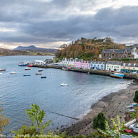 Buy canvas prints of Harbour and Harbour front buildings, Portree, Isle by Dave Collins