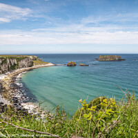 Buy canvas prints of Sheep Island, Carrick-a-Rede, Ballintoy, Co Antrim by Dave Collins