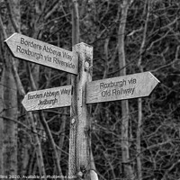Buy canvas prints of Borders Abbeys Way Long Distance Footpath Signpost Monochrome by Dave Collins