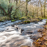 Buy canvas prints of Horner Water, Devon, England by Dave Collins