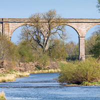 Buy canvas prints of Roxburgh Viaduct, Teviot River, Scotland by Dave Collins