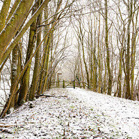 Buy canvas prints of Snow Covered Footpath, Scottish Borders, United Kingdom by Dave Collins