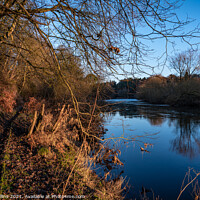 Buy canvas prints of Teviot River at dawn, Scottish Borders, UK by Dave Collins