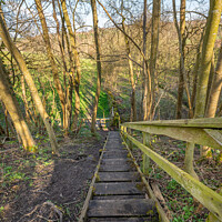 Buy canvas prints of Wooden Steps on Four Borders Abbeys Way Long Distance Footpath by Dave Collins