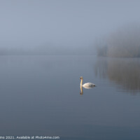 Buy canvas prints of Misty Morning Swan and Lake by Dave Collins
