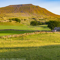 Buy canvas prints of Ingleborough, Yorkshire Dales, England by Dave Collins