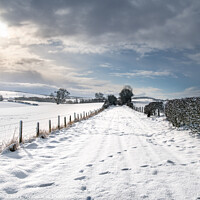 Buy canvas prints of Snow Covered footpath (on disused railway) in the Scottish Borders by Dave Collins