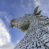 Buy canvas prints of The Kelpies, Falkirk, Scotland by Dave Collins