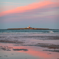 Buy canvas prints of Coquet Island, Northumberland by Dave Collins