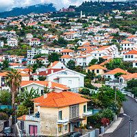 Buy canvas prints of Buildings crowded together on the hills of Funchal in Madeira by Dave Collins
