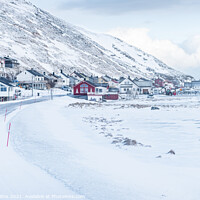 Buy canvas prints of A view of the village in winter, Skarsvag, Norway by Dave Collins