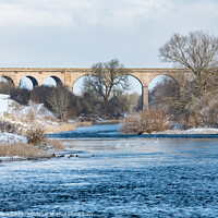Buy canvas prints of Roxburgh Viaduct over the Teviot River in winter snow, Scottish Borders by Dave Collins