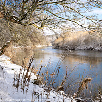 Buy canvas prints of Teviot River and winter snow in the Scottish Borders by Dave Collins