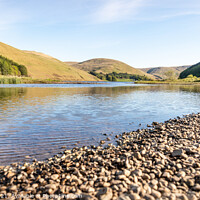 Buy canvas prints of Loch of Lowes, Scotland by Dave Collins