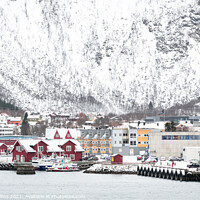 Buy canvas prints of Stokmarknes,Nordland,Norway by Dave Collins