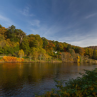 Buy canvas prints of River Tay Birnam by Mark Perry