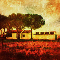 Buy canvas prints of The Old Ranch House by Richard Harris