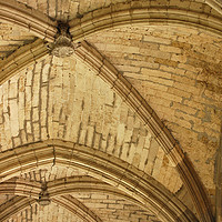 Buy canvas prints of Ceiling of Cloisters, Toledo Cathedral by Richard Harris